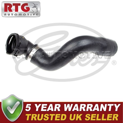 Lower radiator coolant hose - radiator,