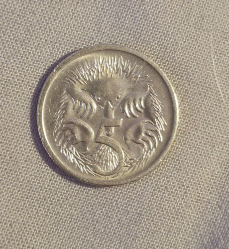Rare australian hedgehog - australian, 5p