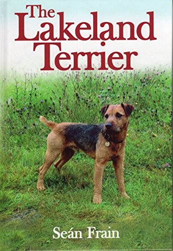 Lakeland terrier sean frain - sean,