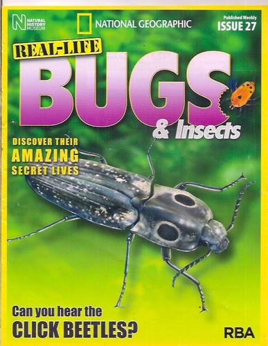 Real life bugs - bugs, &