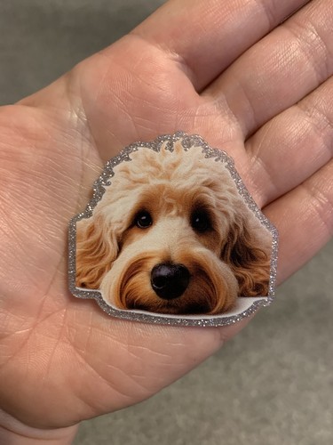 Labradoodle lovers cute muzzle - lovers,