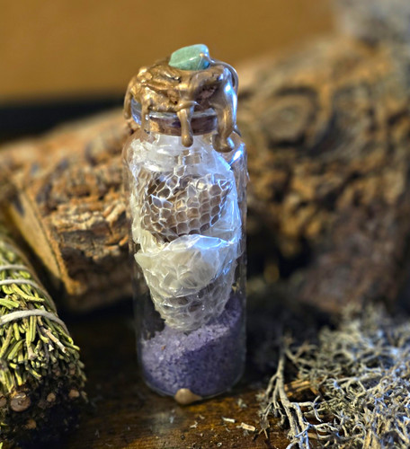 Curiosity jar with - snake, skin