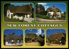 New Forest Cottages Hampshire