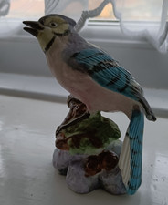 Royal Worcester Bone China Bird Figurine: Blue Jay  Model number 3646