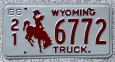 1988 Wyoming Cowboy Horse
