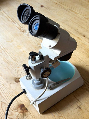 Binocular upright stereo - binocular,