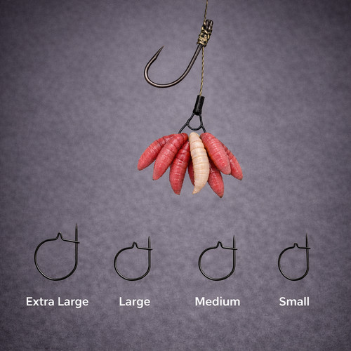 Maggot rings clips - maggot, tench