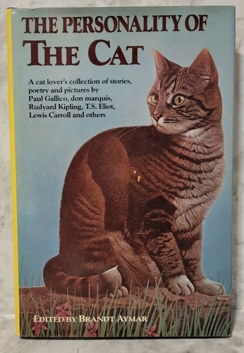 The personality cat - personality,