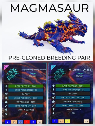 Magma pre cloned breeding - magma, pair