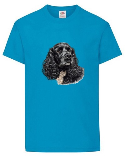 Cocker spaniel dog pet - dog,