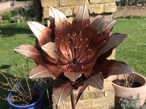Lily flower garden ornament - flower,
