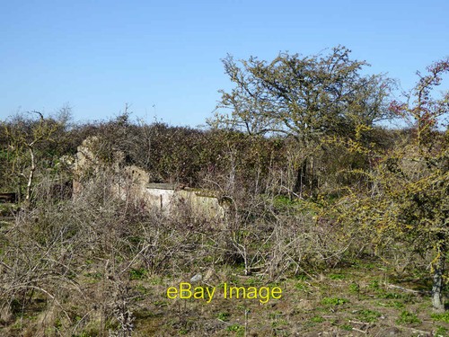 Photo 6x4 ruins nine - 6x4,
