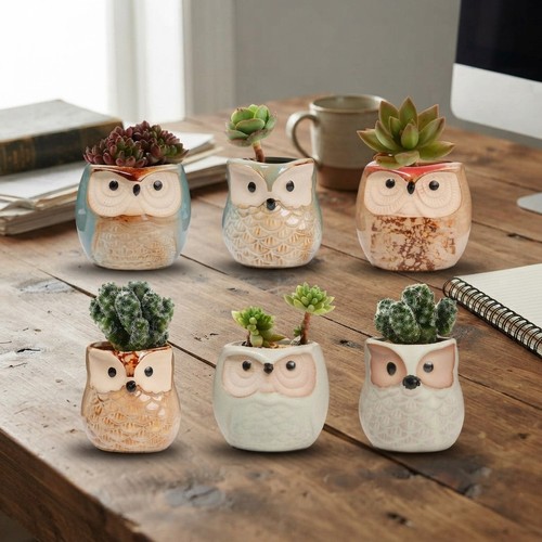 Ceramic owl succulent pots - owl,
