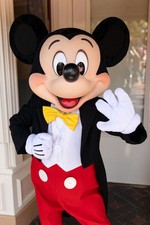 MICKEY Mascot Top Quality HIRE ONLY