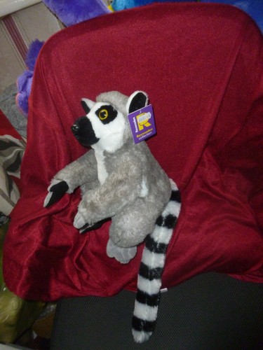 Ravensden ring tailed lemur - ravensden,
