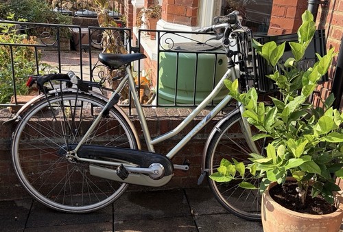 Original dutch hybrid - dutch, bike