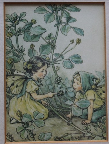 Flower fairies vintage - flower,