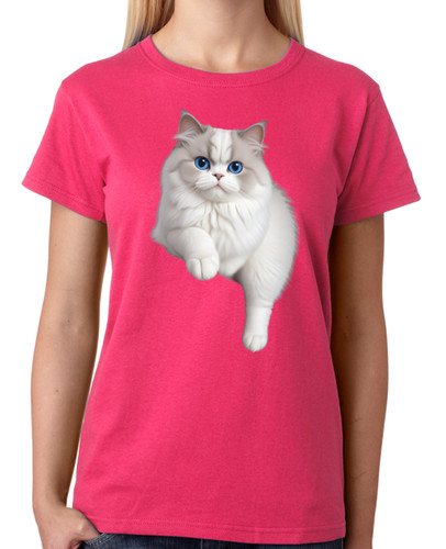 Ragdoll cat ladies - ragdoll,