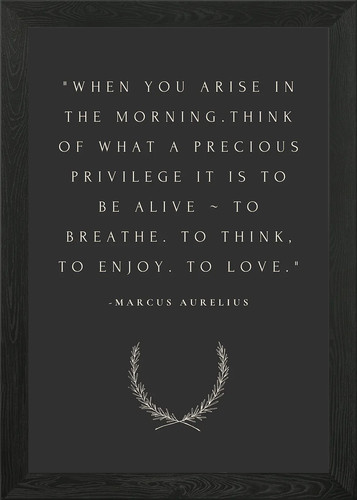 Marcus aurelius quote framed - aurelius,