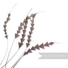 Zig Zag Coque Feather for