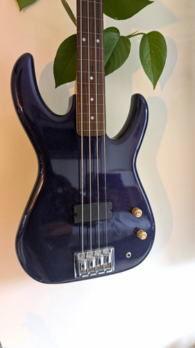 Fretless flea bass - flea,