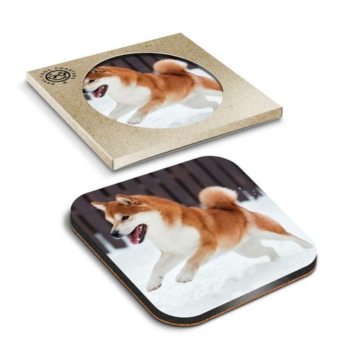 Boxed square coasters - x,