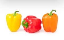 🌶️ Sweet Pepper Plug