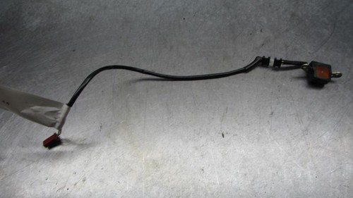 Honda cbr1100 blackbird - honda,