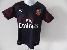 Arsenal 2018-2019 Fly Emirates