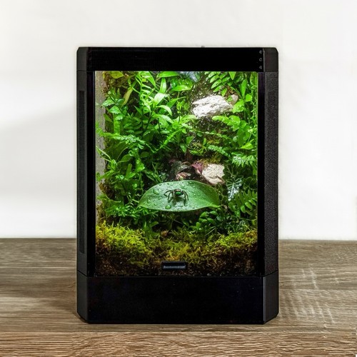 Terrarium box outline - terrarium,