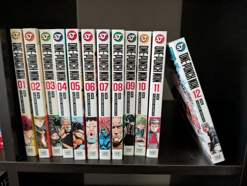 One punch man - man, job