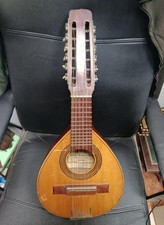 bandurria Montero Granada