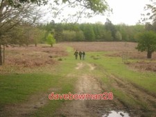 PHOTO  FOOTPATH IN MERSHAM-LE-HATCH PARK  THIS PARKLAND WALK LEADS FROM QUARRING