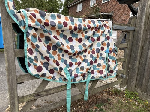 5ft bijou pony wear - bijou,