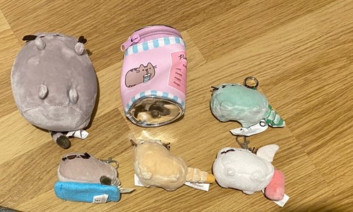 Pusheen blind box keyrings - blind,