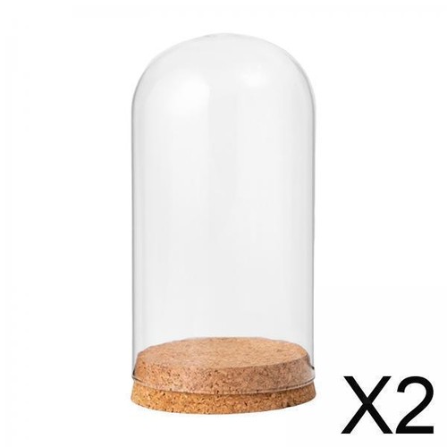 Elegant clear glass - elegant, dome