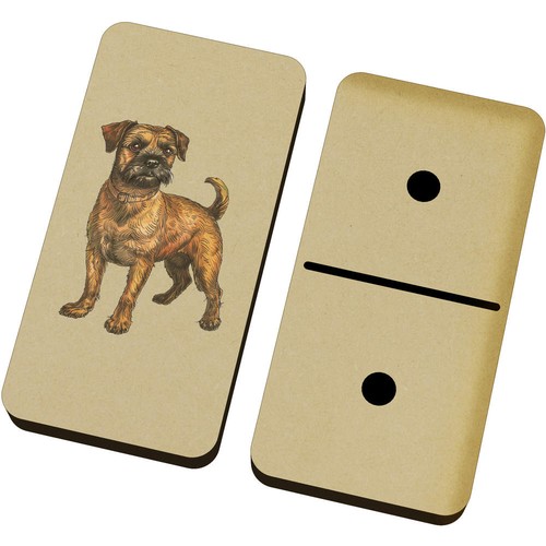 Border terrier standing - 'border,