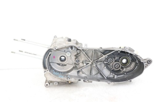 Engine lower casing - lower,