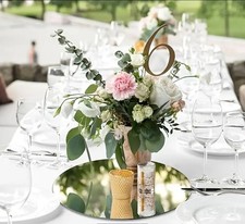 10x 30cm Mirror Plate for