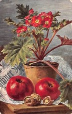 FAMILY HISTORY - POSTCARD -