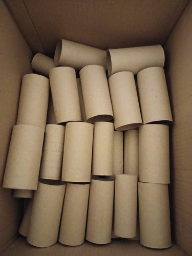 Empty cardboard toilet roll - 50,
