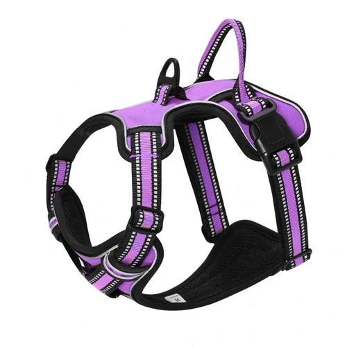 Premium dog harness pull - premium, no