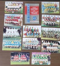 Hornet Wallet of Top Cup