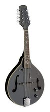 Stagg Electroacoustic