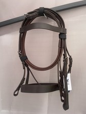 Derby house brown cob hunter - cob,