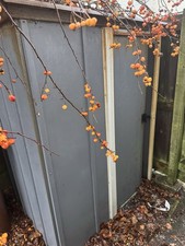 Metal Garden Shed With Sliding