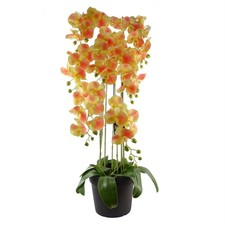 110cm large yellow peach - yellow,