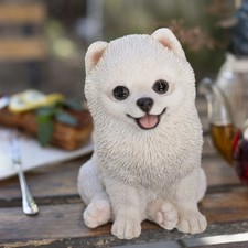 SoReal White Pomeranian |