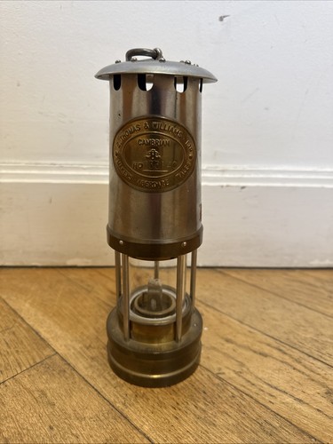 The cambrian lamp 233140 - cambrian, lamp.