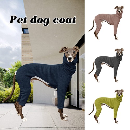Pet dog high - pet, coat